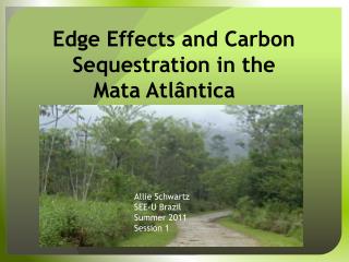Edge Effects and Carbon Sequestration in the Mata Atlântica   