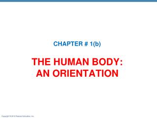 THE HUMAN BODY: AN ORIENTATION