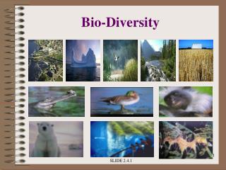 Bio-Diversity