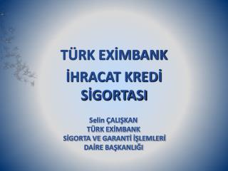 TÜRK EXİMBANK İHRACAT KREDİ SİGORTASI