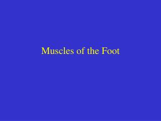 Muscles of the Foot