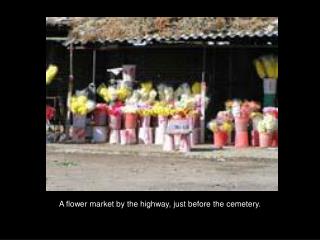 A flower market by the highway, just before the cemetery.