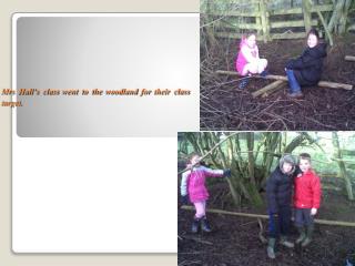 Mrs Hall’s class went to the woodland for their class target.