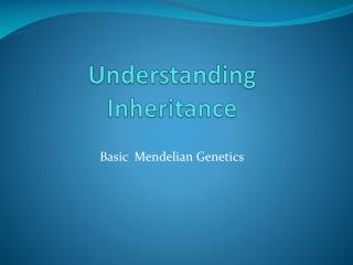 Understanding Inheritance