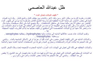 ظل عبدالله العاصمي