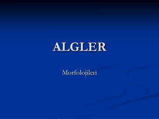 ALGLER