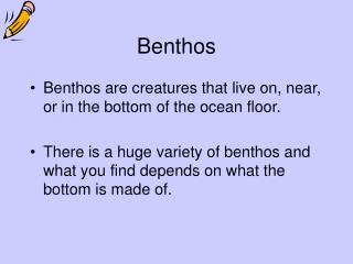 Benthos