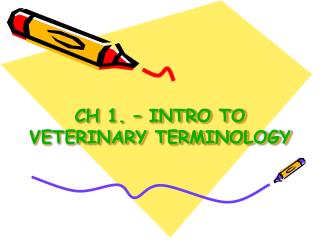 CH 1. – INTRO TO VETERINARY TERMINOLOGY
