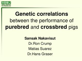 Genetic correlations between the performance of purebred and crossbred pigs