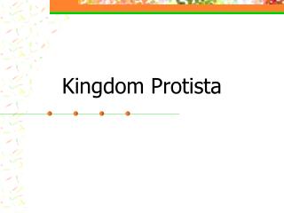 Kingdom Protista