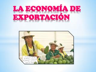 LA ECONOMÍA DE EXPORTACIÓN