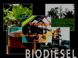 Il biodiesel