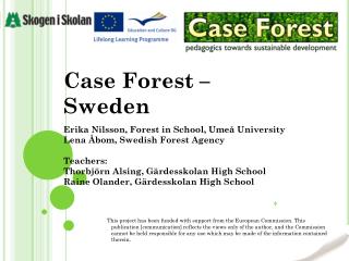 Case Forest – Sweden