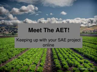 Meet The AET!