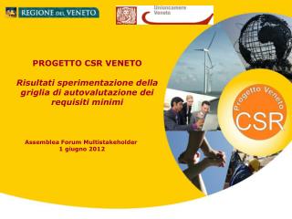 Assemblea Forum Multistakeholder 1 giugno 2012
