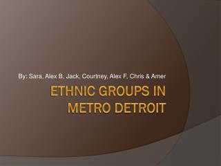 Ethnic Groups in Metro Detroit