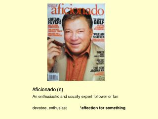 Aficionado (n)