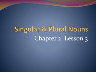 Singular &amp; Plural Nouns
