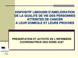 PRESENTATION ET ACTIVITE DE L’INFIRMIERE COORDINATRICE DES SOINS 3C87