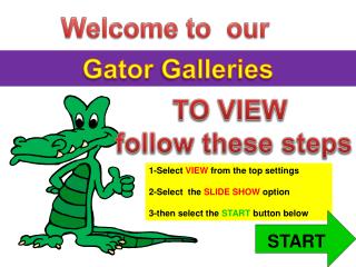 Gator Galleries