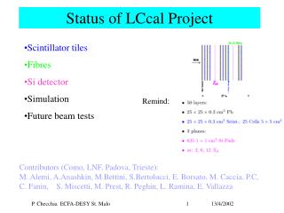 Status of LCcal Project