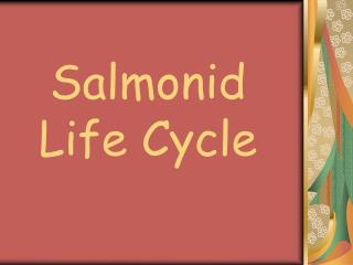 Salmonid Life Cycle