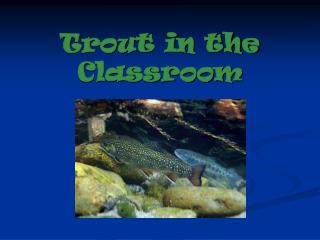 Trout in the Classroom