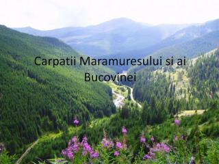 Carpatii Maramuresului si ai Bucovinei