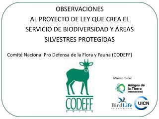 Comité Nacional Pro Defensa de la Flora y Fauna (CODEFF)