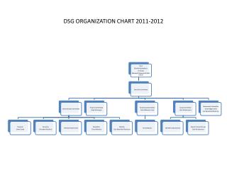 DSG ORGANIZATION CHART 2011-2012