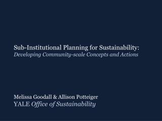 Sub-Institutional Planning for Sustainability: Developing Community-scale Concepts and Actions