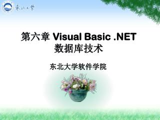 第六章 Visual Basic .NET数据库技术