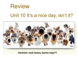 Review Unit 10 It’s a nice day, isn’t it?