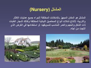 المشتل ( Nursery )