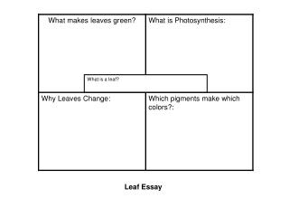 PPT - Measurements of Dosimetric Leaf Gap for Testing MLC Leaf Gap ...