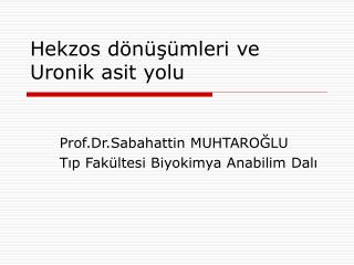 Hekzos dönüşümleri ve Uronik asit yolu