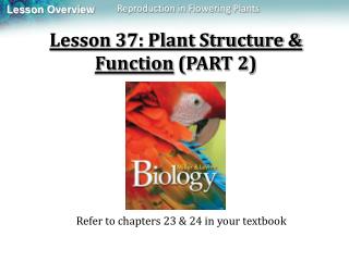 Lesson 37: Plant Structure &amp; Function (PART 2)