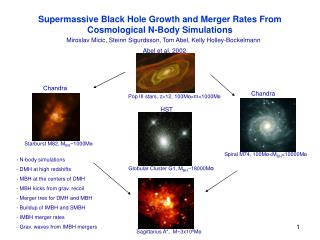 Supermassive Black Hole Growth and Merger Rates From Cosmological N-Body Simulations
