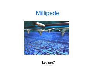 Millipede