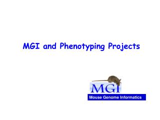 MGI and Phenotyping Projects