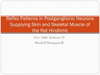 Reflex Patterns in Postganglionic Neurons Supplying Skin and Skeletal Muscle of the Rat Hindlimb
