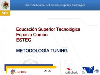 Educación Superior Tecnológica Espacio Común ESTEC METODOLOGÍA TUNING