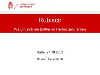 Rubisco Warum sich die Blätter im Herbst gelb färben