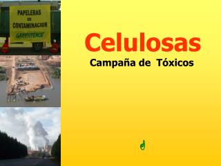 Celulosas
