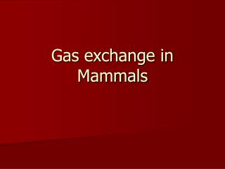 Gas exchange in Mammals