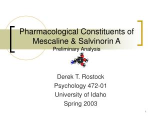Pharmacological Constituents of Mescaline &amp; Salvinorin A Preliminary Analysis