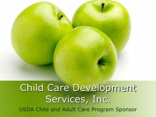 Child Care Development Services, Inc.