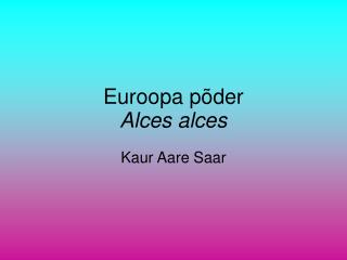 Euroopa põder Alces alces