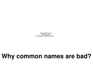 Why common names are bad?