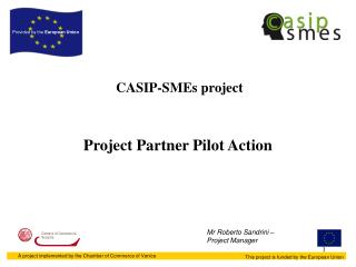 CASIP-SMEs project